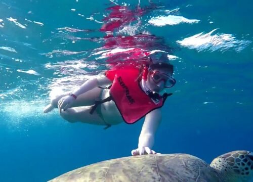 Abu Dabbab Turtle Beach group