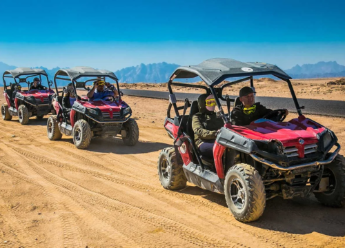 Private buggy safari (Family)