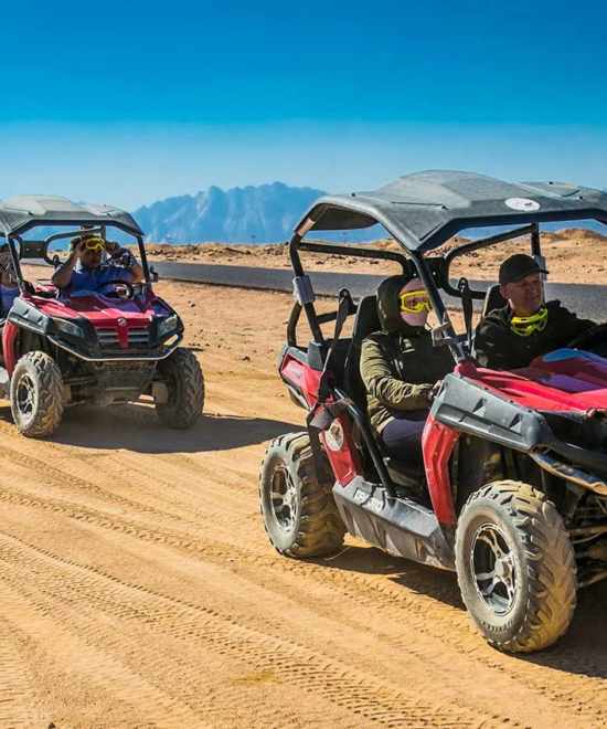 Private buggy safari (Family)