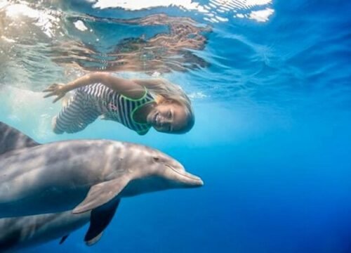 Dolphin House trip