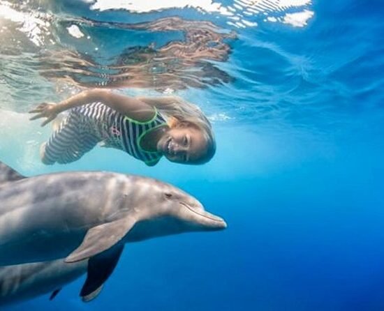 Dolphin House trip